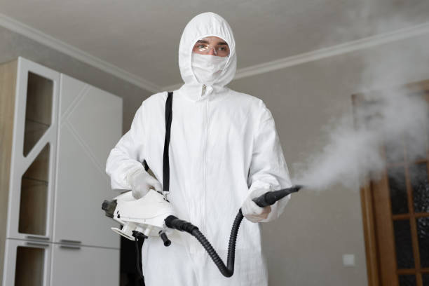 Mold Remediation for Rental Properties in Crab Orchard, WV